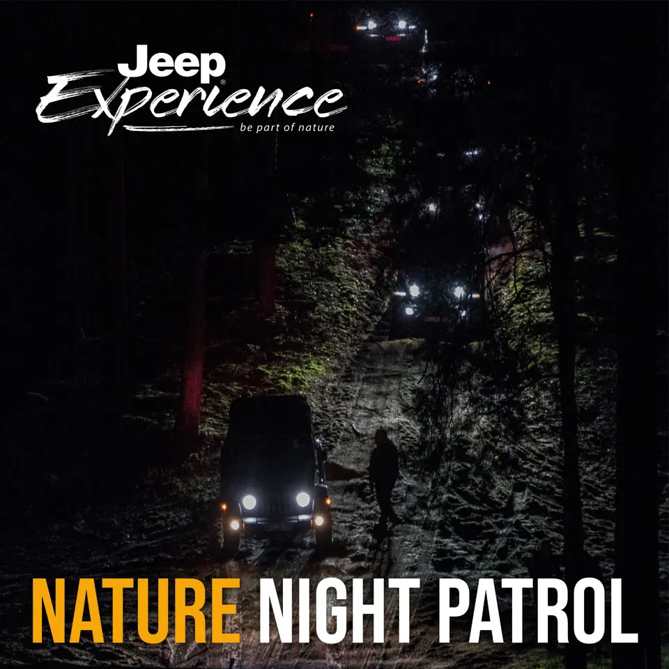 Nature Night Patrol
