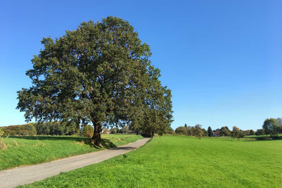 Jeep onroad: Bergisches Land