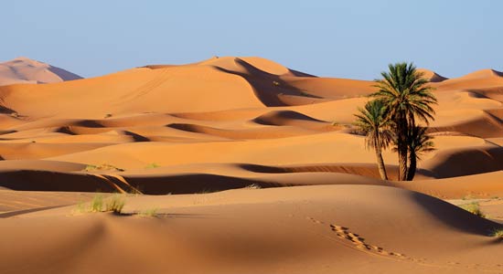 Jeep Tour Silvester in der Sahara
