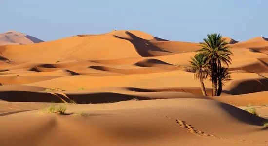 Jeep Tour Silvester in der Sahara