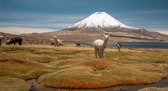 Jeep Tour Die Atacama ruft