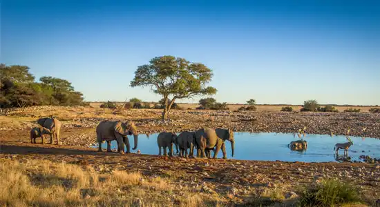 Jeep Tour Namibia - Best of West Afrika