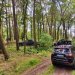Jeep Experience