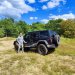 Jeep Experience