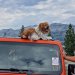 Jeep Experience