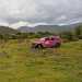 Jeep Experience