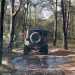 Jeep Experience