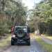 Jeep Experience