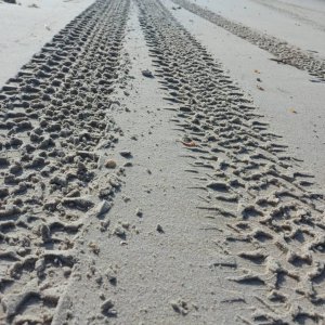 Jeep Experience